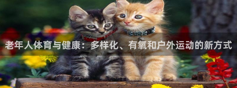 球派体育官方网站：老年人体育与健康：多样化、有氧和户外运动的新方式