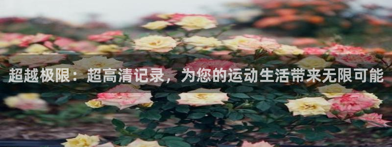 球派体育下载官网：超越极限：超高清记录，为您的运动生活带来无限可能