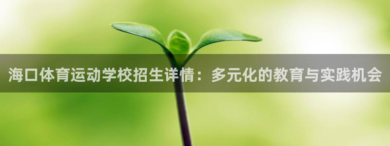 关键词