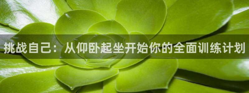 球派体育免费吗：挑战自己：从仰卧起坐开始你的全面训练计划