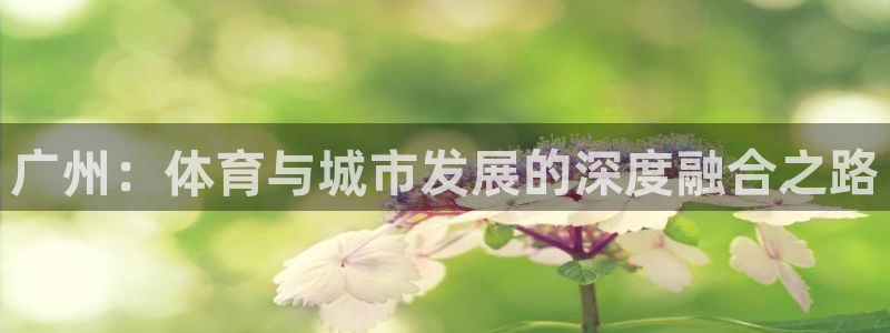 球派体育app旧版本：广州：体育与城市发展的深度融合之路